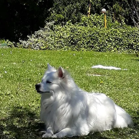 Apartment Marianne Abtenau