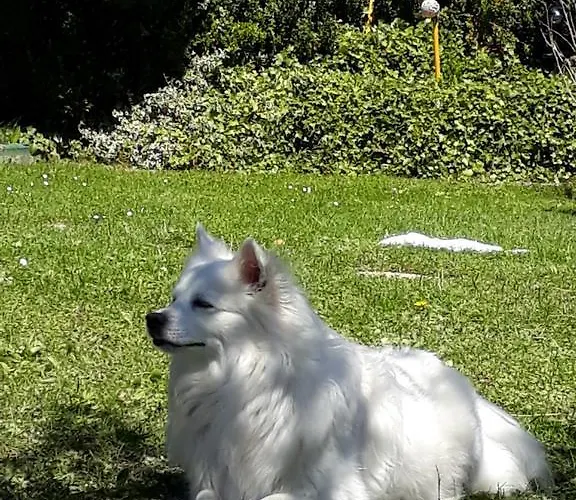 Διαμέρισμα Marianne Abtenau